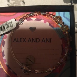 Alex Ani bracelet